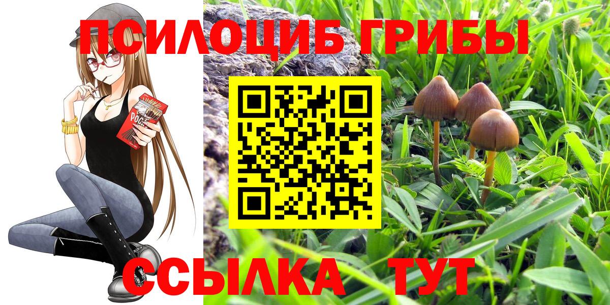 Ухта  Галлюциногенные грибы прущие грибы  Вход с VPN 